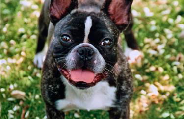 Eschen´s Blick - Foto 52