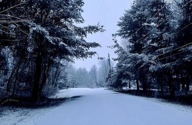 Beautifully Designed 4BR Home Heated Pool HotTub - Foto 6