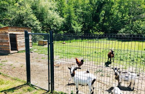 Charmant studio tout équipé - Foto 31