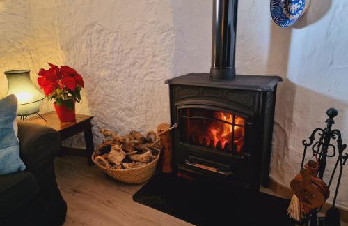 Cueva de la Higuera - Photo 26