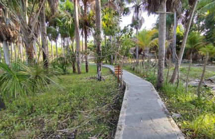 Sitio Santo Antonio - Photo 28