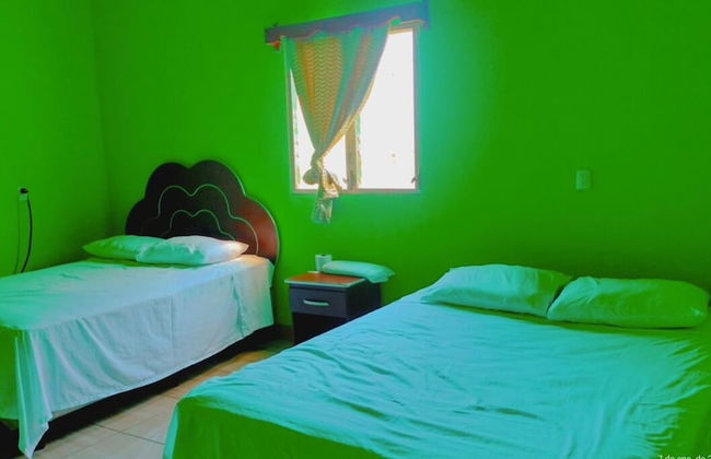 Pacific Paradise - Photo 1