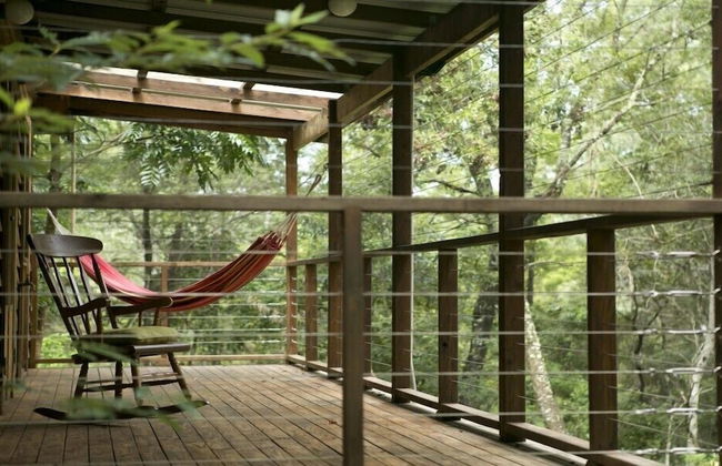 Bluegums Cabins Barrington Tops - Photo 42