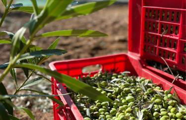 Villa Santa Margherita - Foto 120