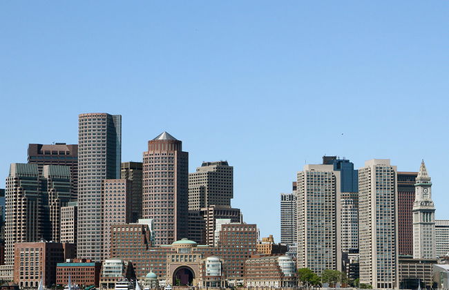 Crucero de avistamiento de ballenas del New England Aquarium - Foto 6
