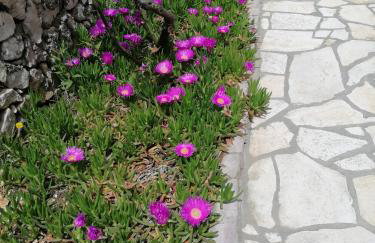 Kuća za odmor Ana - Photo 23