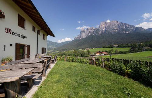 Mesnerhof my Paradise - Foto 49