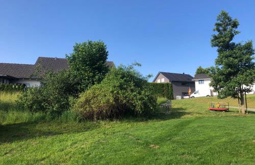 Pusteblume - Foto 11