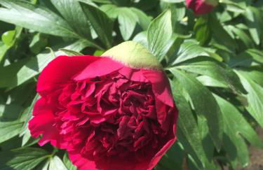 ZEIT für DICH - Foto 8