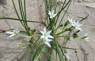 Country House Ciliegia Rossa - Foto 7