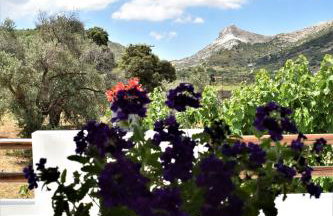 Dreamcatcher of Zeus - Foto 76