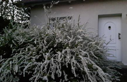 Villa Maja - Foto 14