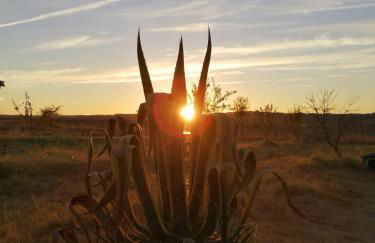 Casa das Jardas - Foto 15
