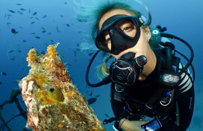 Aparthotel Niu d´Aus - Photo 34