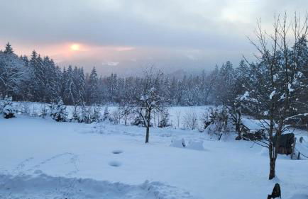 Ferienwohnung Waldidyll - Foto 15