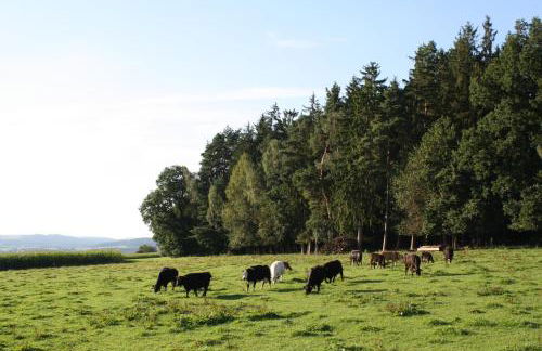Ferienwohnung "Ausblick" - Foto 13