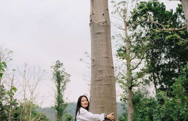 Eco Eyes Village - Foto 33