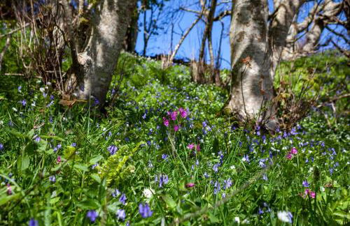 Powillimount Cottage - Foto 32