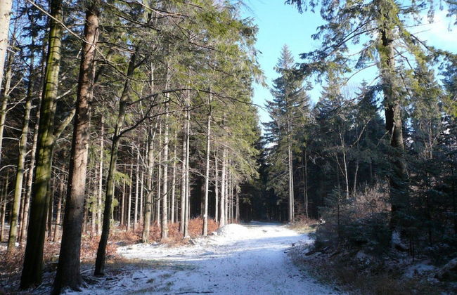 Chaty pod Sokolím Hřbetem - Foto 24