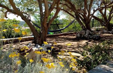 Apartmani Gero - Photo 30