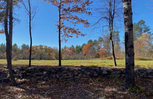 Not-so-tiny, Tranquil, Pond front Bungalow - Foto 11