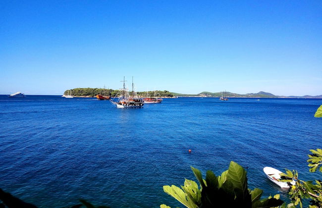 Sea of Eden - Foto 35