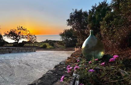 La PAVONCELLA 2 - Foto 7