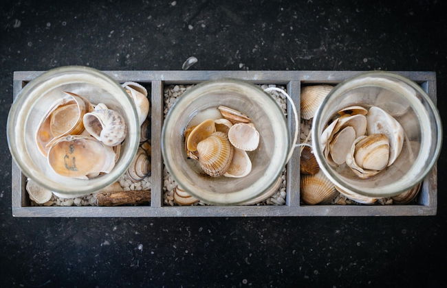 Amandari Igv01 Near the Center in Koksijde - Photo 10