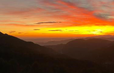 Masia Cal Rosta - Foto 36
