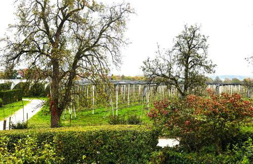 Apfelstübchen - Foto 20