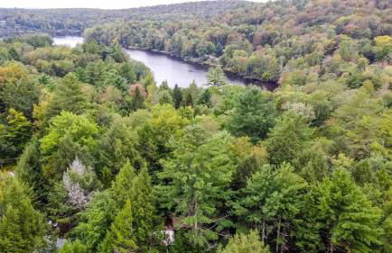 renovatedhot tublake accesspedal boatcozychic - Foto 60