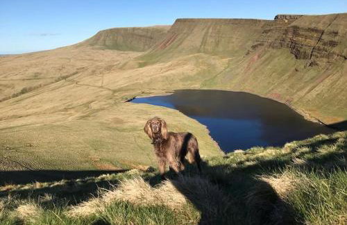 Happy Horse Cottages - Foto 53