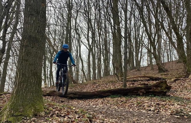 "Eva" - 1.5km to the fjord - Foto 5