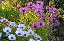 Oasi di san Benedetto - Foto 19