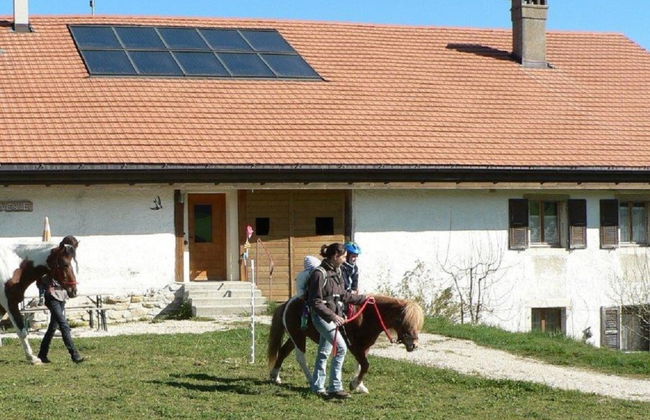 Maison de vacances - Les Hirondelles - Foto 24