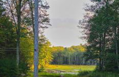 Serene Rustic Retreat with Lake - Foto 27