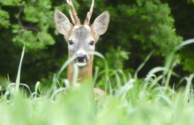 Panoramic Villa in Tuscany Rolling Hill, Well Connected, Everyday new Journey to - Foto 40