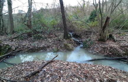 Bio Agriturismo Valle dei Calanchi - Foto 142