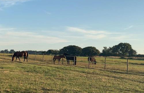 The Paddocks - Spacious annexe with rural outlook. - Foto 29
