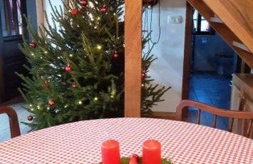 Vila Trnoružica - Foto 55