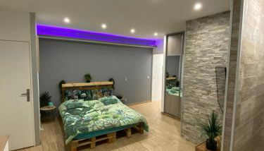 Le Menhir 2 Jacuzzi Spa Terasse Barbecue - Foto 5