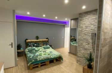 Le Menhir 2 Jacuzzi Spa Terasse Barbecue - Foto 5