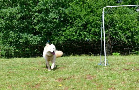 Natura hause - Foto 17