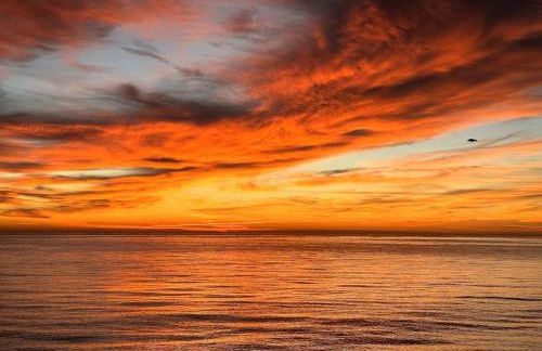 Beachfront, First line, 2-Bdr,2-Bath, Swiming Pool - Photo 59