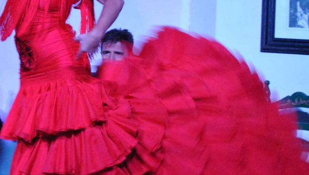 Detalhes do vestido de flamenco