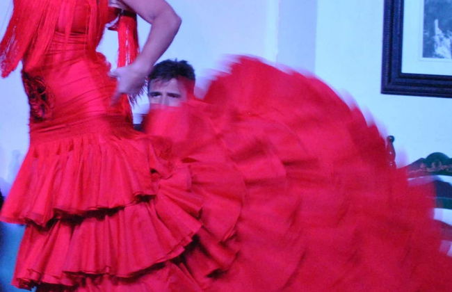 Espectáculo flamenco en el tablao El Cardenal - Foto 4