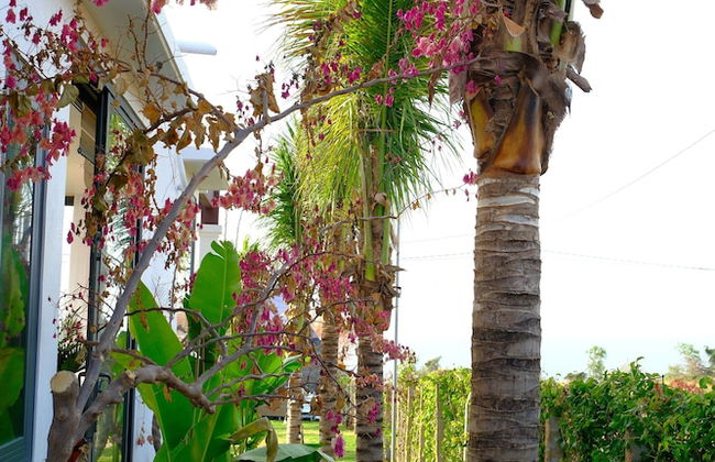 Sunset Hill Villa Mui Ne - Foto 57