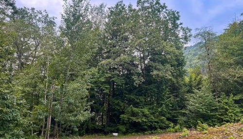 Hillside Hideaway - Foto 5