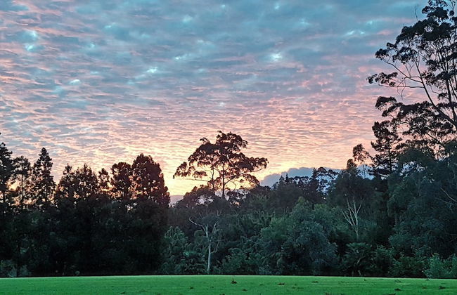 Kerikeri Park Lodge - Foto 54