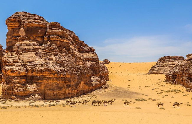 Visita Hegra con traslado opcional - Foto 1